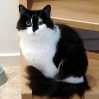 Photo of Kyle Rsta011628