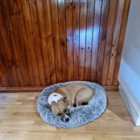 Photo of Rosemary Kumara