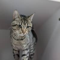 Photo of 🧃 Archibald 6433 🧃