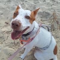 Photo of Adeline
