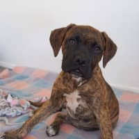 Photo of Danny Green (68345)