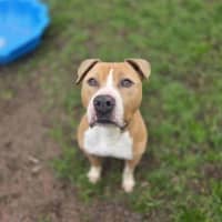 Photo of Tyson