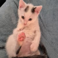 Photo of Clara