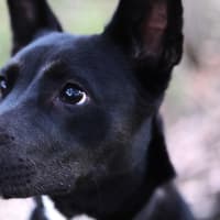 Photo of Sally