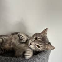 Photo of Molly 