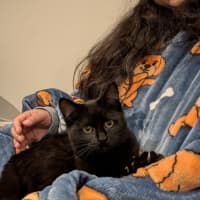 Photo of Dora