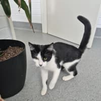 Photo of Nova! ☯