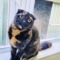 Photo of 🍹Paloma🍹