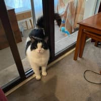 Photo of Richie Rich