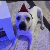 Photo of Turbo