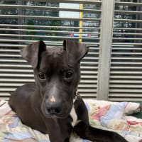 Photo of Billy