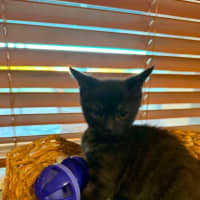Photo of Zoom
