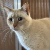 Photo of Jessie James