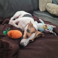 Photo of Coco Newhaven