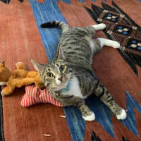 Photo of Sutton   Best Buds With Kevin   Check His Profile