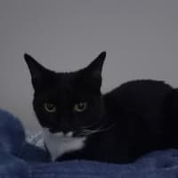 Photo of Chloe
