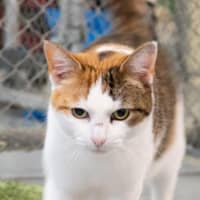 Photo of Hazel Moriarty