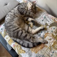 Photo of Mikey And Bob