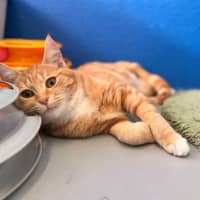 Photo of Penelope
