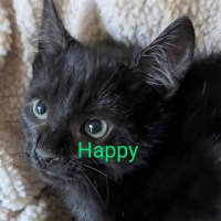 Photo of Happy