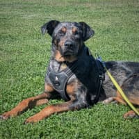 Photo of Cajun