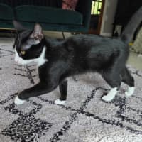 Photo of Jeanie