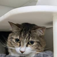 Photo of 🪀 James (Jimmy) 5740 🪀