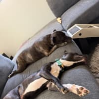 Photo of George Costanza