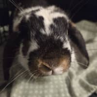 Photo of Samuel