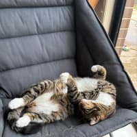 Photo of Bento Aka Benny