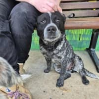 Photo of Snowy! ❄️