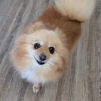 Photo of Betty