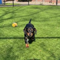 Photo of Lucy