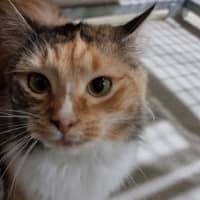Photo of Birdie