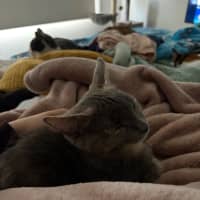 Photo of Baby & Blossom 