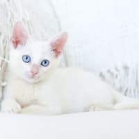 Photo of Minnie