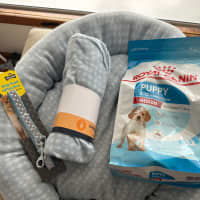 Photo of Cotton & Cloud