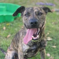 Photo of George