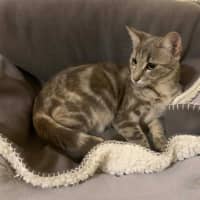 Photo of Zoe 