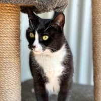 Photo of Luna