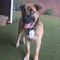 Photo of Tommy Pickles