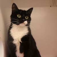 Photo of Estelle