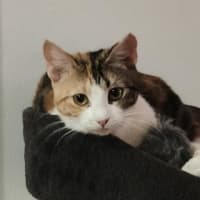 Photo of Tashi