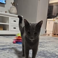 Photo of Harley
