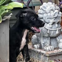Photo of Zoe