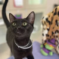 Photo of Roland (0157)