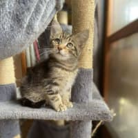Photo of Winslow