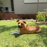 Photo of Coral Imp 1713