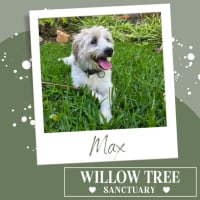 Photo of Max