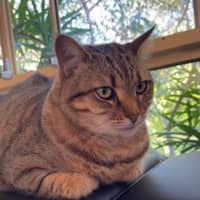 Photo of Delilah